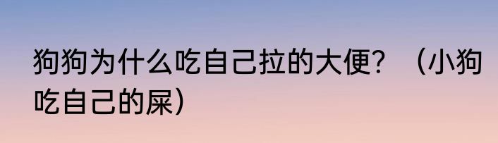 狗狗为什么吃自己拉的大便？（小狗吃自己的屎）