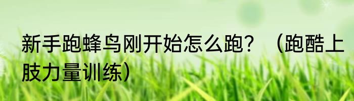 新手跑蜂鸟刚开始怎么跑？（跑酷上肢力量训练）