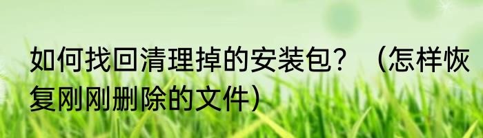 如何找回清理掉的安装包？（怎样恢复刚刚删除的文件）
