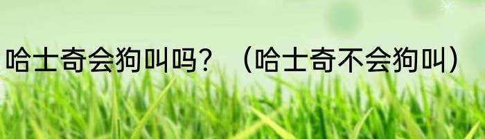 哈士奇会狗叫吗？（哈士奇不会狗叫）