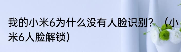 我的小米6为什么没有人脸识别？（小米6人脸解锁）
