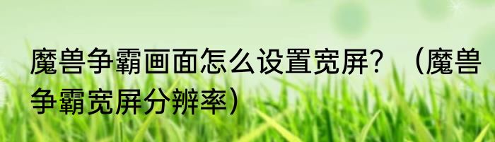 魔兽争霸画面怎么设置宽屏？（魔兽争霸宽屏分辨率）