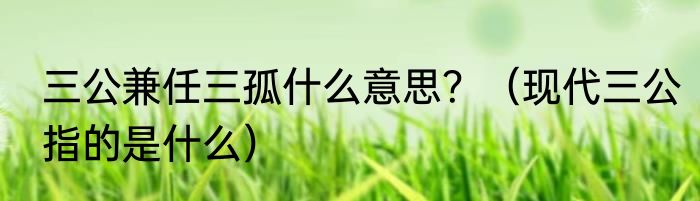 三公兼任三孤什么意思？（现代三公指的是什么）