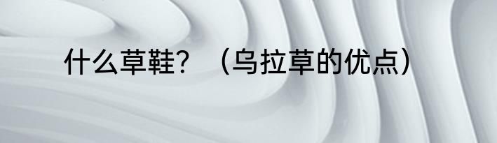 什么草鞋？（乌拉草的优点）