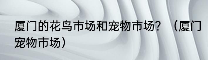 厦门的花鸟市场和宠物市场？（厦门宠物市场）