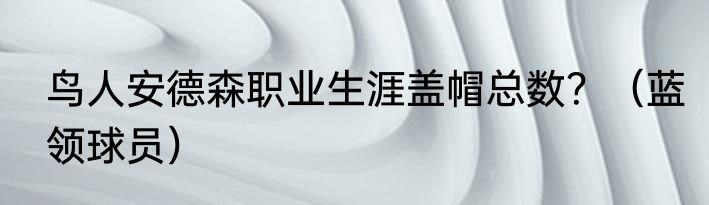 鸟人安德森职业生涯盖帽总数？（蓝领球员）