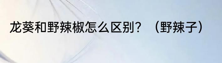 龙葵和野辣椒怎么区别？（野辣子）