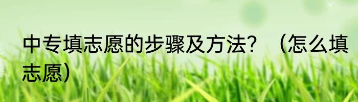 中专填志愿的步骤及方法？（怎么填志愿）