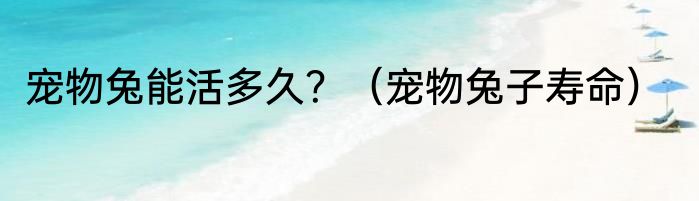 宠物兔能活多久？（宠物兔子寿命）