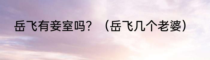 岳飞有妾室吗？（岳飞几个老婆）