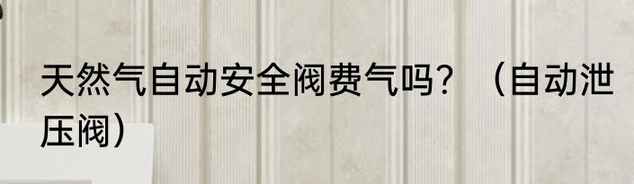 天然气自动安全阀费气吗？（自动泄压阀）