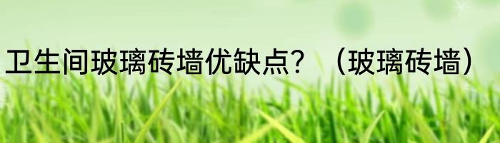 卫生间玻璃砖墙优缺点？（玻璃砖墙）