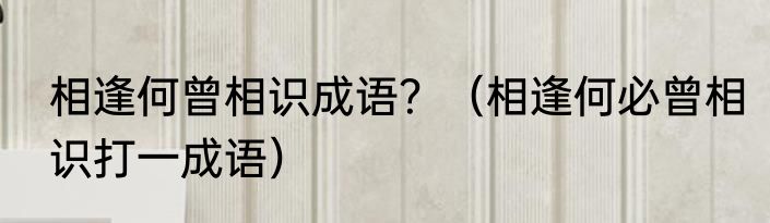 相逢何曾相识成语？（相逢何必曾相识打一成语）