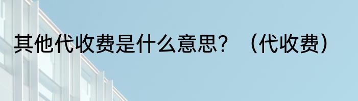其他代收费是什么意思？（代收费）