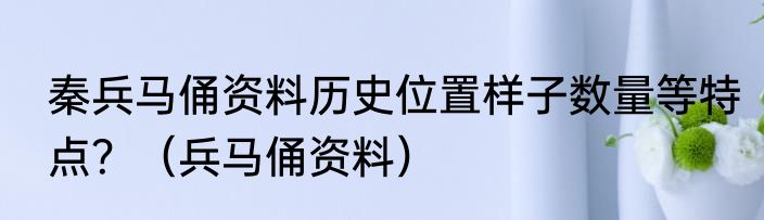 秦兵马俑资料历史位置样子数量等特点？（兵马俑资料）