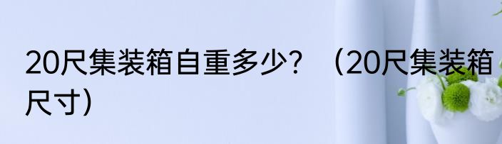20尺集装箱自重多少？（20尺集装箱尺寸）