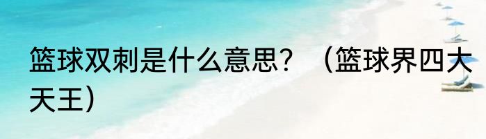 篮球双刺是什么意思？（篮球界四大天王）
