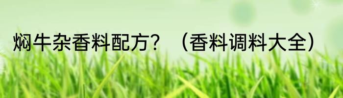焖牛杂香料配方？（香料调料大全）