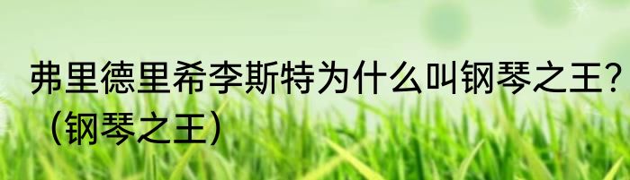 弗里德里希李斯特为什么叫钢琴之王？（钢琴之王）