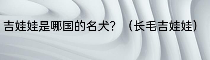 吉娃娃是哪国的名犬？（长毛吉娃娃）