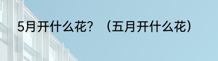 5月开什么花？（五月开什么花）