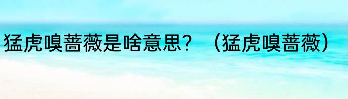 猛虎嗅蔷薇是啥意思？（猛虎嗅蔷薇）