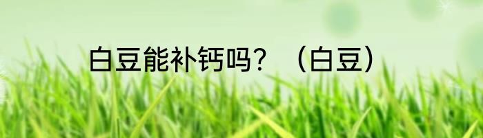 白豆能补钙吗？（白豆）