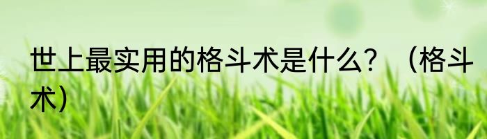 世上最实用的格斗术是什么？（格斗术）