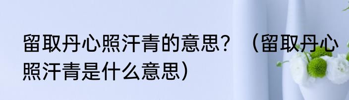 留取丹心照汗青的意思？（留取丹心照汗青是什么意思）