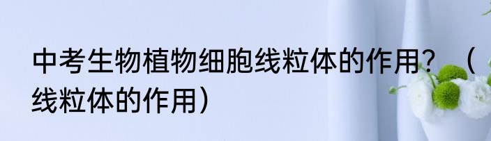 中考生物植物细胞线粒体的作用？（线粒体的作用）