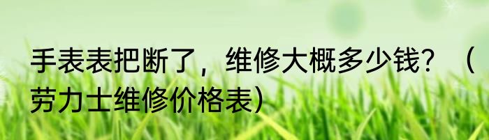 手表表把断了，维修大概多少钱？（劳力士维修价格表）