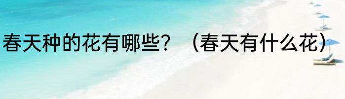 春天种的花有哪些？（春天有什么花）