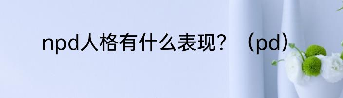 npd人格有什么表现？（pd）
