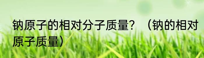 钠原子的相对分子质量？（钠的相对原子质量）