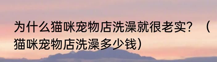 为什么猫咪宠物店洗澡就很老实？（猫咪宠物店洗澡多少钱）