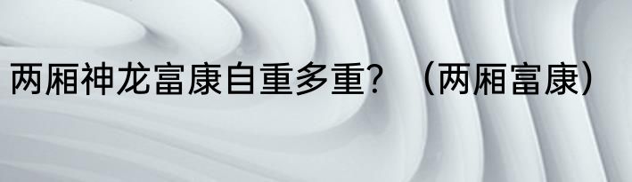 两厢神龙富康自重多重？（两厢富康）
