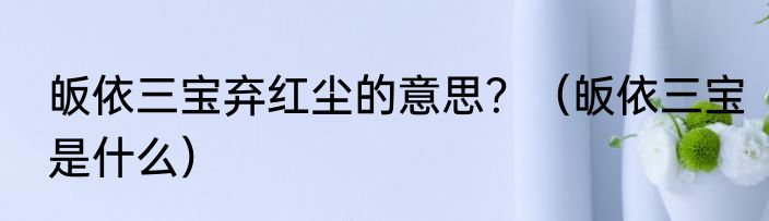 皈依三宝弃红尘的意思？（皈依三宝是什么）