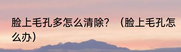 脸上毛孔多怎么清除？（脸上毛孔怎么办）