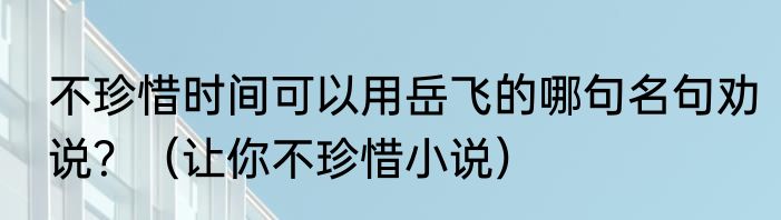 不珍惜时间可以用岳飞的哪句名句劝说？（让你不珍惜小说）