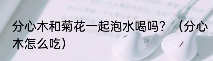 分心木和菊花一起泡水喝吗？（分心木怎么吃）