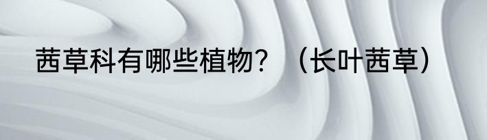 茜草科有哪些植物？（长叶茜草）