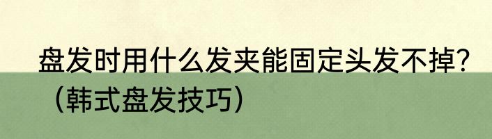 盘发时用什么发夹能固定头发不掉？（韩式盘发技巧）
