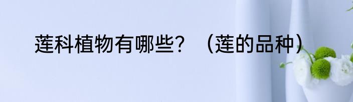 莲科植物有哪些？（莲的品种）