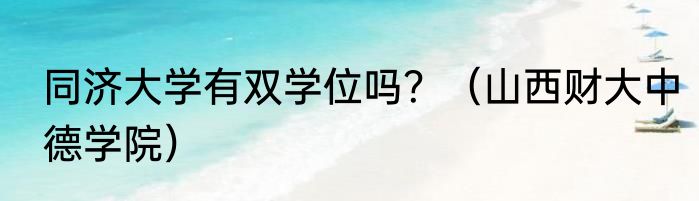 同济大学有双学位吗？（山西财大中德学院）