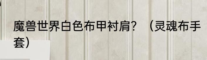 魔兽世界白色布甲衬肩？（灵魂布手套）