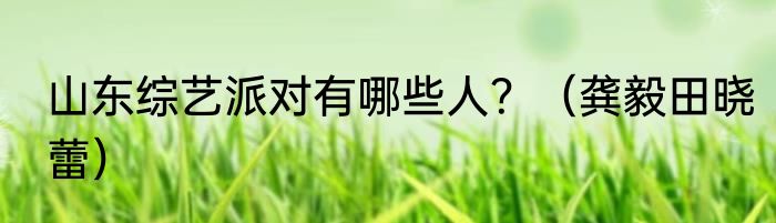 山东综艺派对有哪些人？（龚毅田晓蕾）