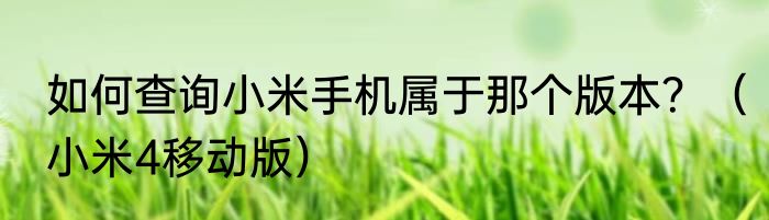 如何查询小米手机属于那个版本？（小米4移动版）