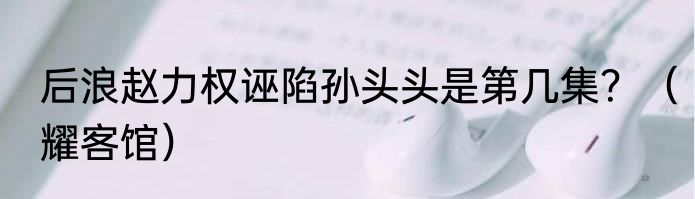 后浪赵力权诬陷孙头头是第几集？（耀客馆）