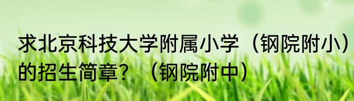 求北京科技大学附属小学（钢院附小）的招生简章？（钢院附中）