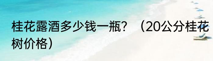 桂花露酒多少钱一瓶？（20公分桂花树价格）